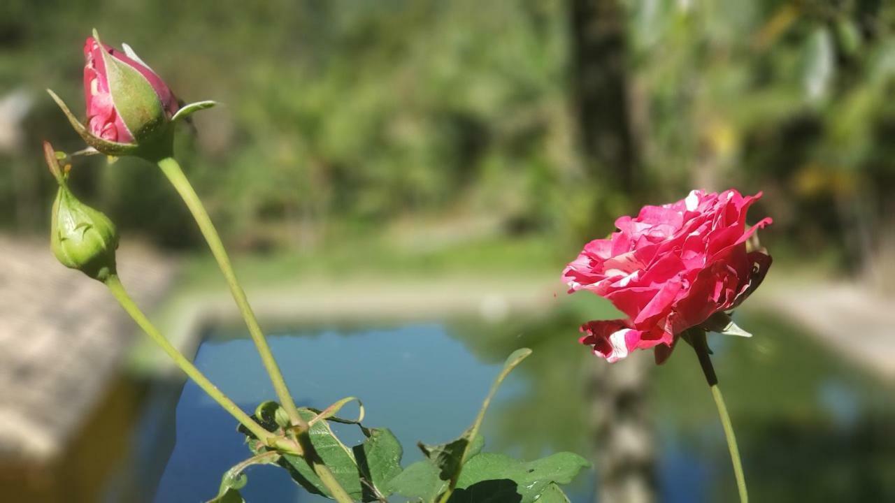 Recanto Luamar Pousada Sana Luaran gambar