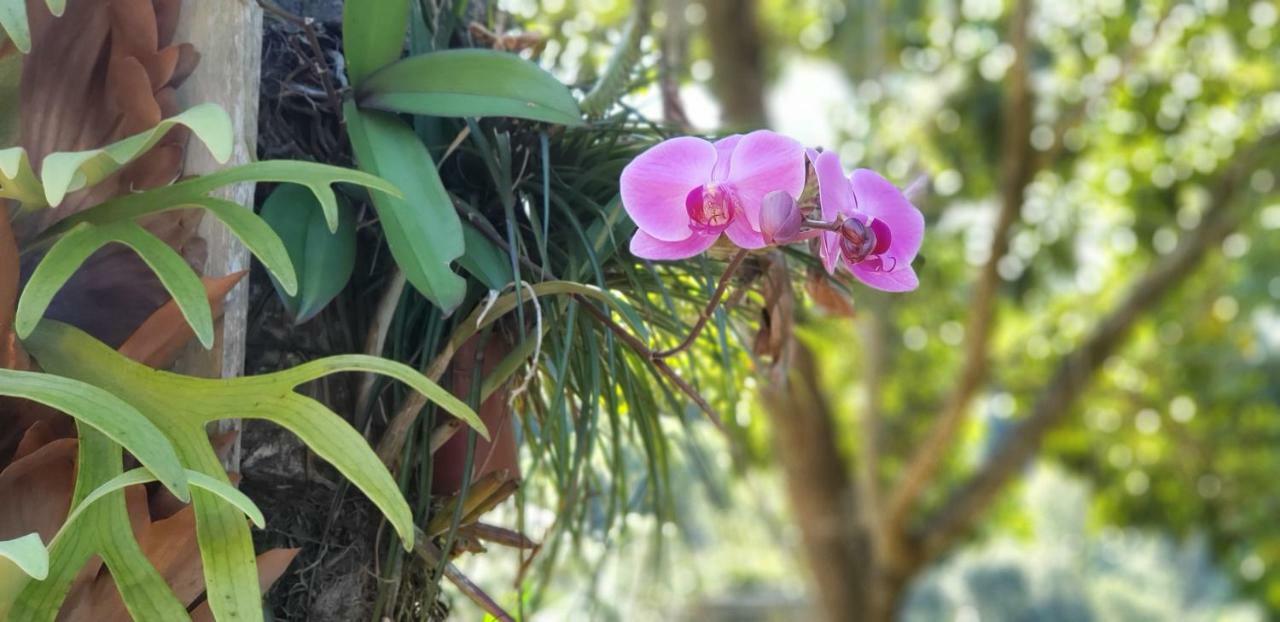 Recanto Luamar Pousada Sana Luaran gambar